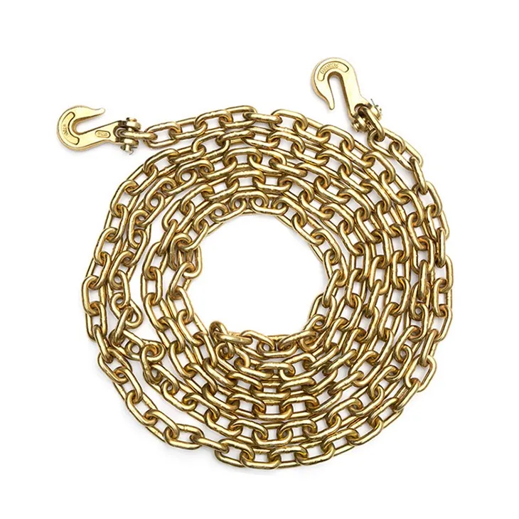 পরিবহন চেইন কার্বন ইস্পাত খাদ ইস্পাত চেইন